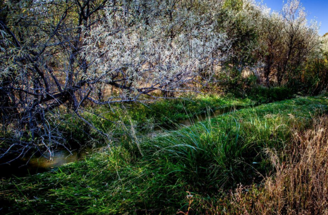 19242 Highway 30, Buhl, Idaho, 83316, United States, ,Residential,For Sale,19242 Highway 30,1673769