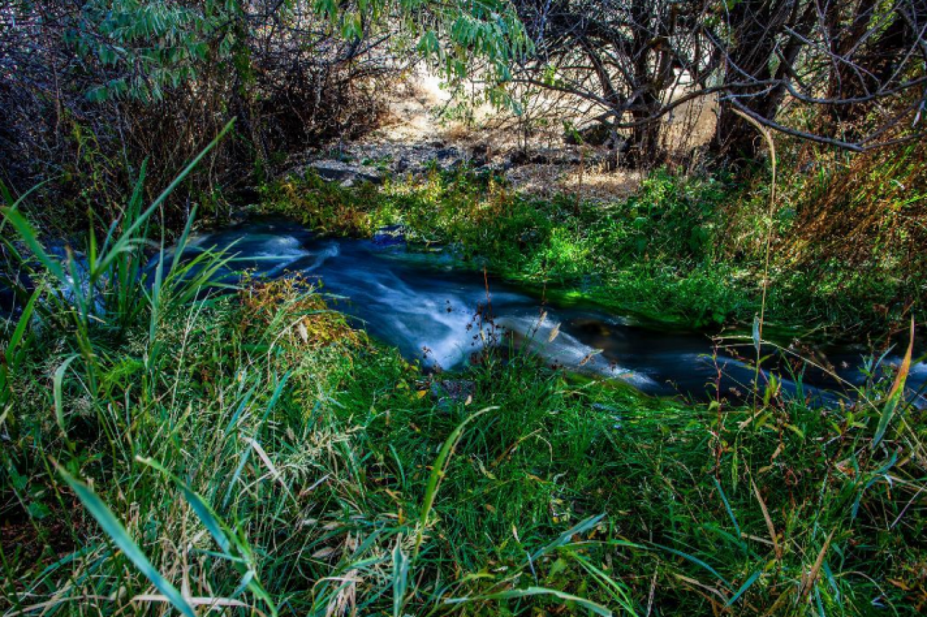 19242 Highway 30, Buhl, Idaho, 83316, United States, ,Residential,For Sale,19242 Highway 30,1673769