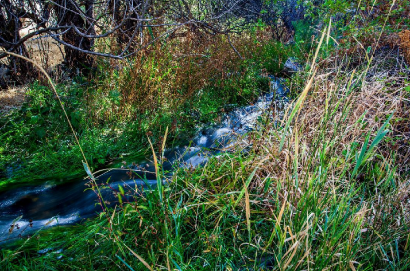 19242 Highway 30, Buhl, Idaho, 83316, United States, ,Residential,For Sale,19242 Highway 30,1673769