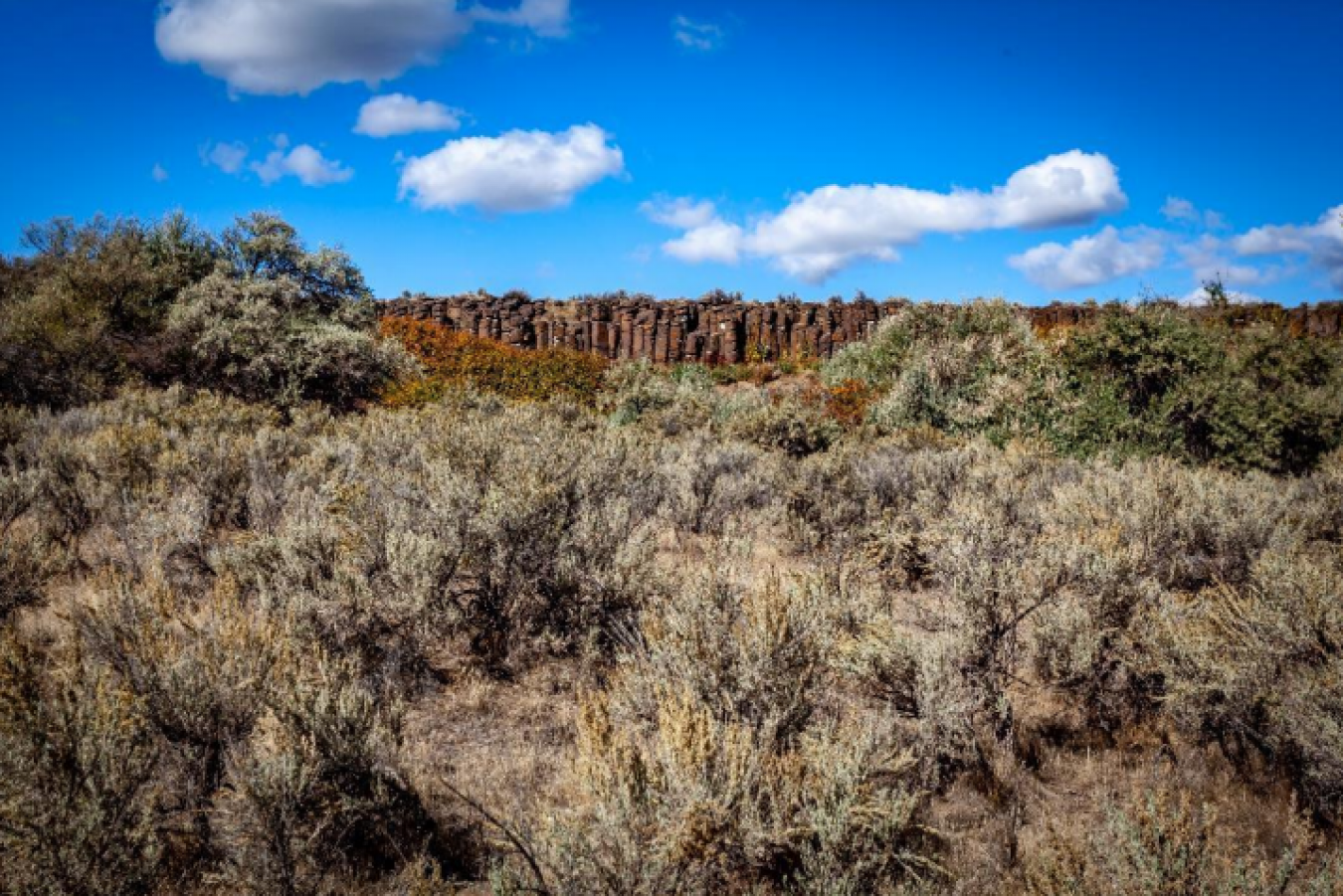 19242 Highway 30, Buhl, Idaho, 83316, United States, ,Residential,For Sale,19242 Highway 30,1673769