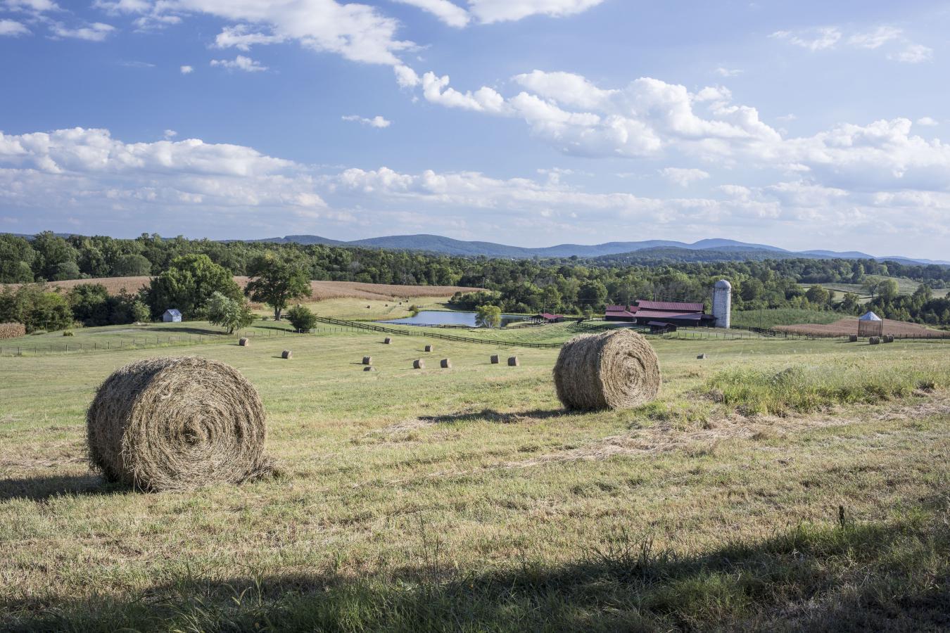 2427 S Blue Ridge Tpke, Rochelle, VA, 22738, United States, 4 Bedrooms Bedrooms, ,3 BathroomsBathrooms,Residential,For Sale,2427 S Blue Ridge Tpke,1687790
