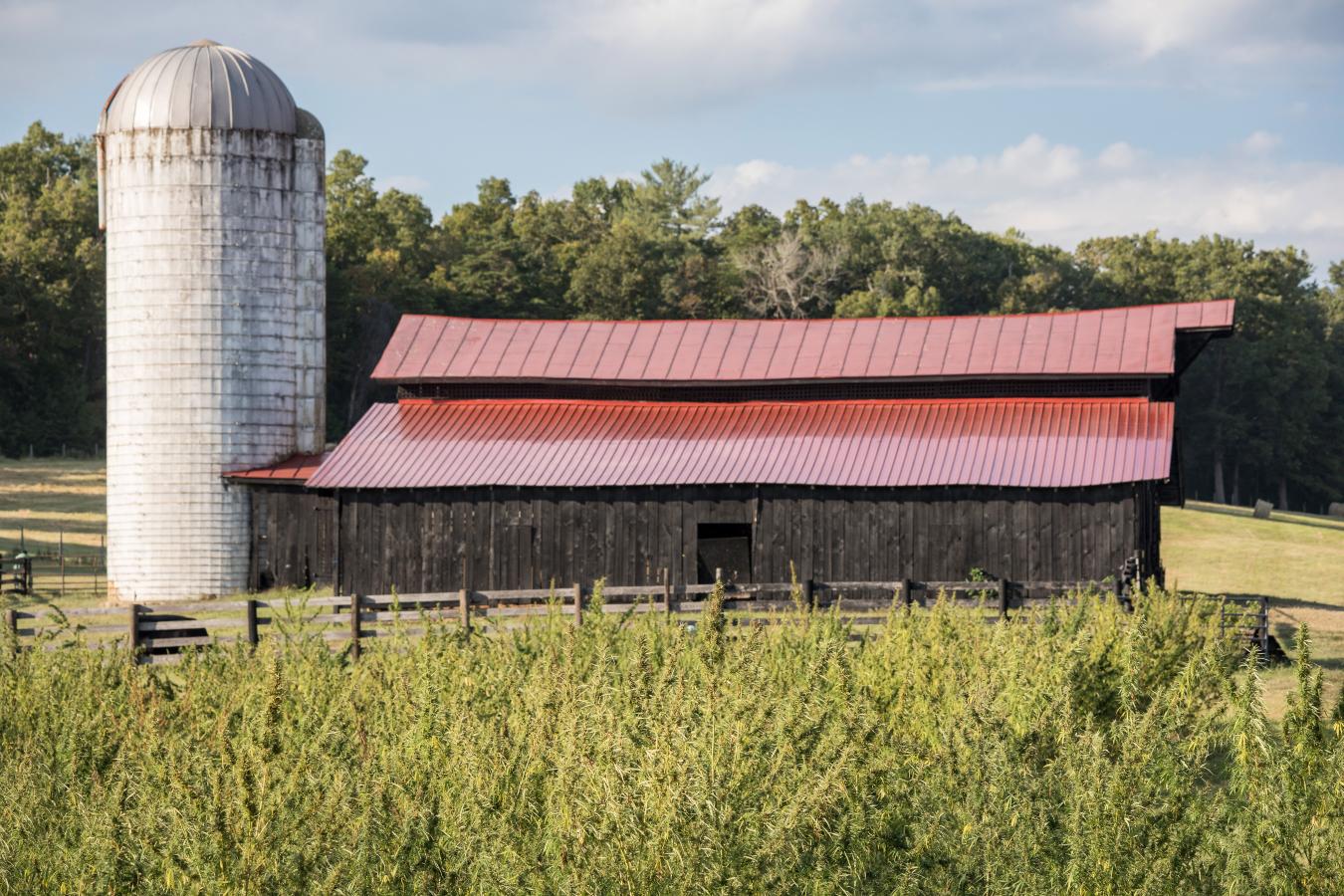 2427 S Blue Ridge Tpke, Rochelle, VA, 22738, United States, 4 Bedrooms Bedrooms, ,3 BathroomsBathrooms,Residential,For Sale,2427 S Blue Ridge Tpke,1687790