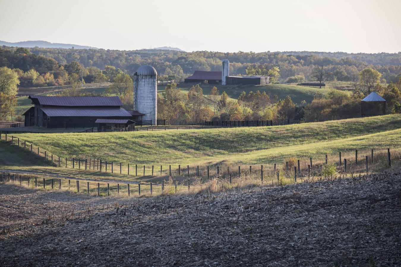2427 S Blue Ridge Tpke, Rochelle, VA, 22738, United States, 4 Bedrooms Bedrooms, ,3 BathroomsBathrooms,Residential,For Sale,2427 S Blue Ridge Tpke,1687790