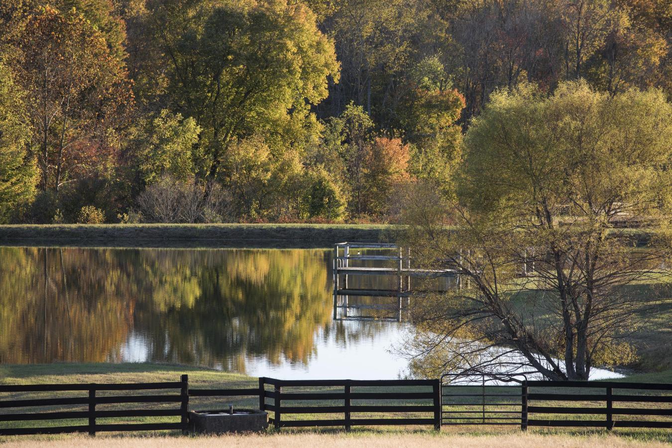 2427 S Blue Ridge Tpke, Rochelle, VA, 22738, United States, 4 Bedrooms Bedrooms, ,3 BathroomsBathrooms,Residential,For Sale,2427 S Blue Ridge Tpke,1687790