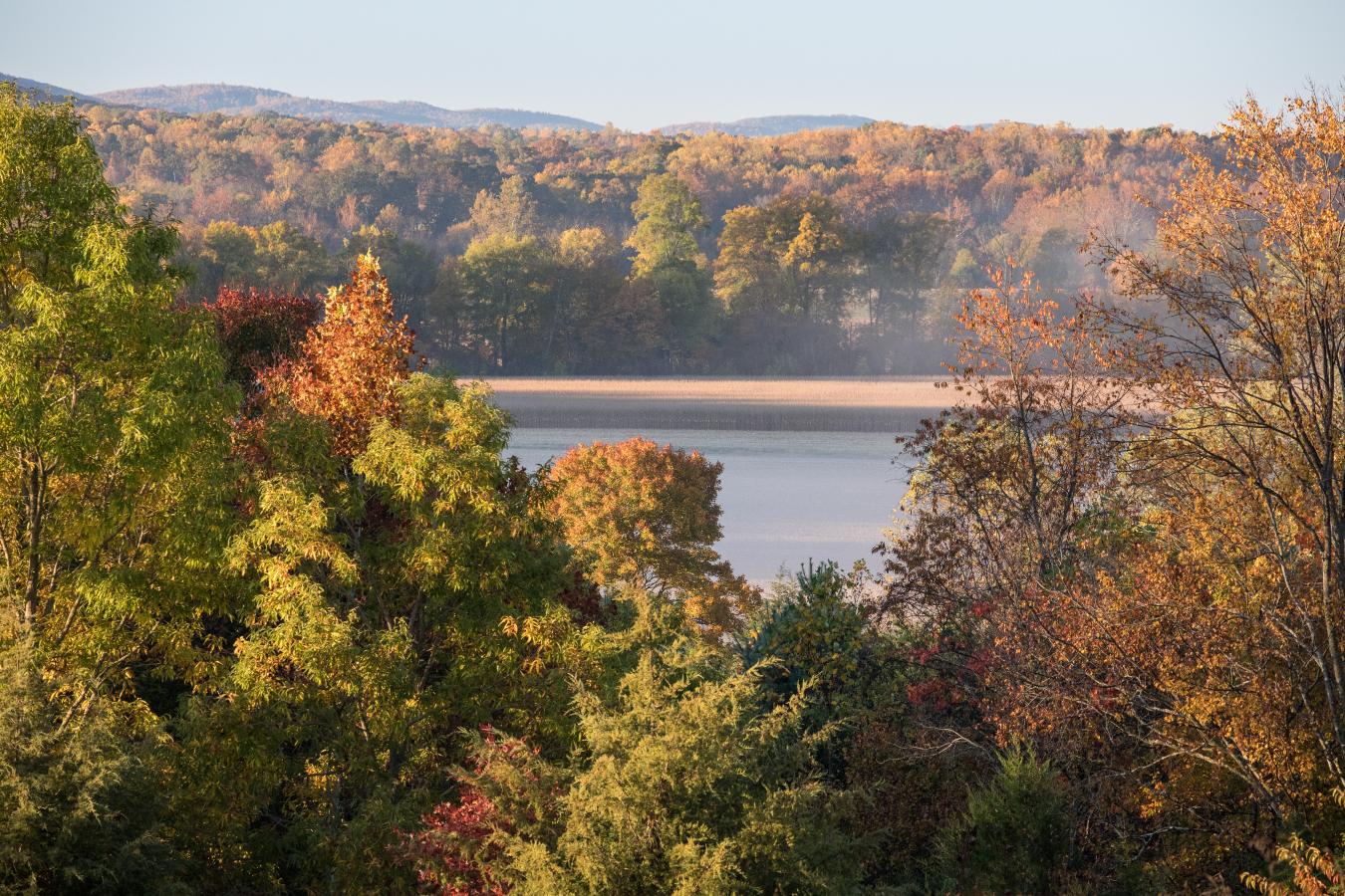 2427 S Blue Ridge Tpke, Rochelle, VA, 22738, United States, 4 Bedrooms Bedrooms, ,3 BathroomsBathrooms,Residential,For Sale,2427 S Blue Ridge Tpke,1687790