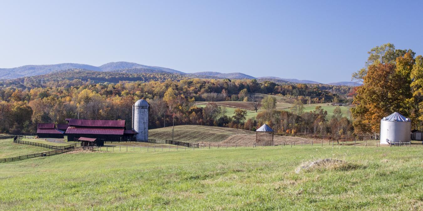 2427 S Blue Ridge Tpke, Rochelle, VA, 22738, United States, 4 Bedrooms Bedrooms, ,3 BathroomsBathrooms,Residential,For Sale,2427 S Blue Ridge Tpke,1687790