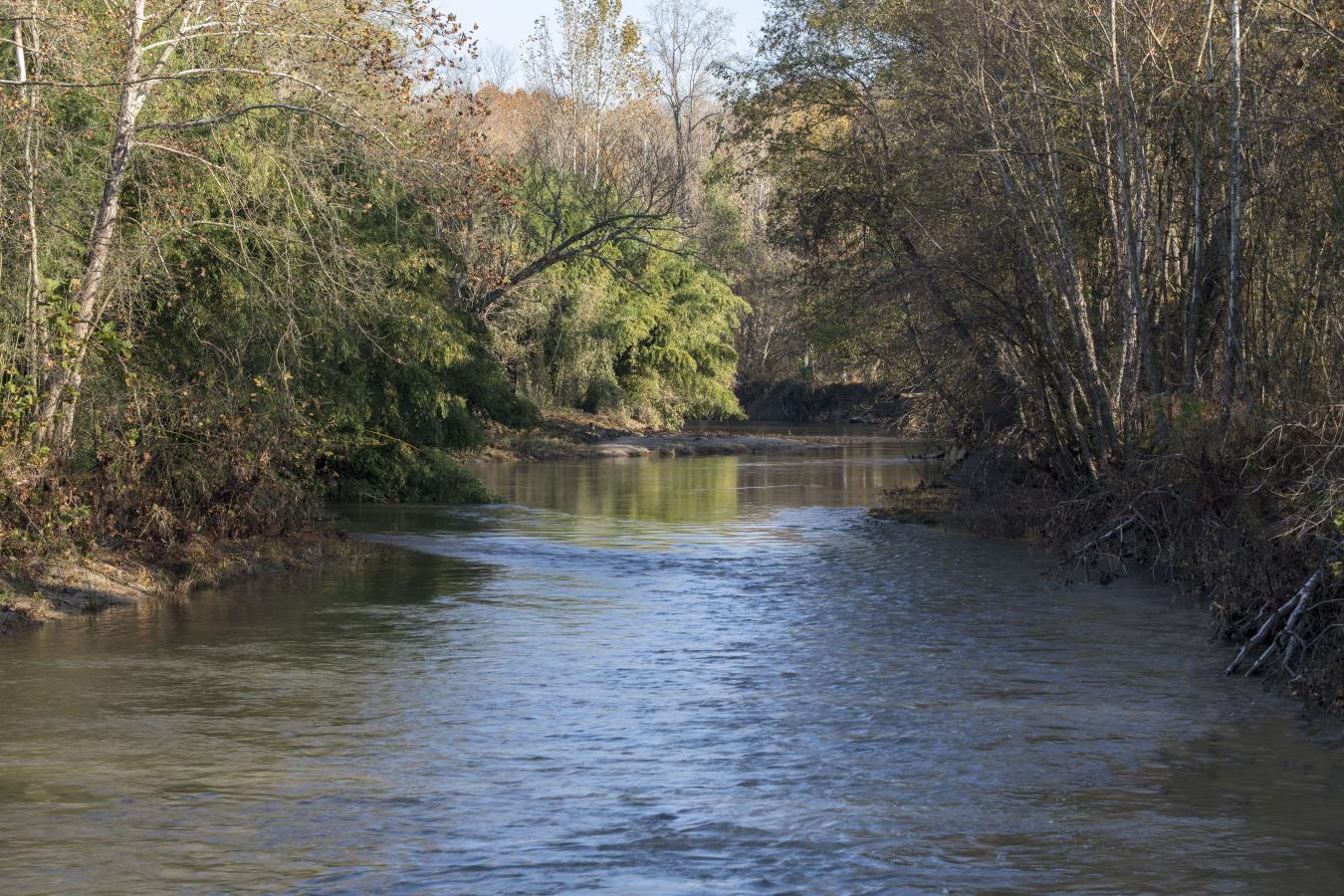 2427 S Blue Ridge Tpke, Rochelle, VA, 22738, United States, 4 Bedrooms Bedrooms, ,3 BathroomsBathrooms,Residential,For Sale,2427 S Blue Ridge Tpke,1687790