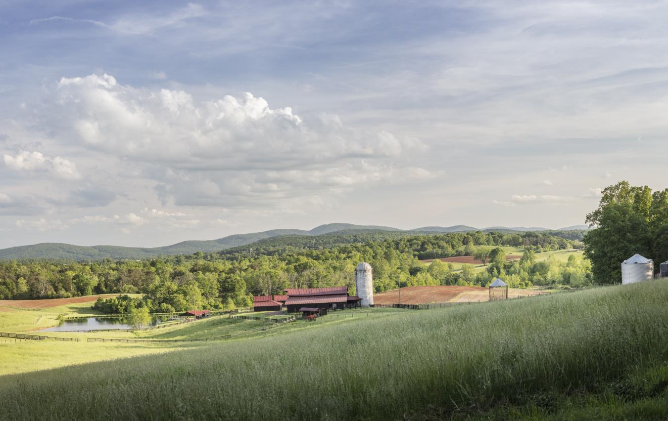 2427 S Blue Ridge Tpke, Rochelle, VA, 22738, United States, 4 Bedrooms Bedrooms, ,3 BathroomsBathrooms,Residential,For Sale,2427 S Blue Ridge Tpke,1687790
