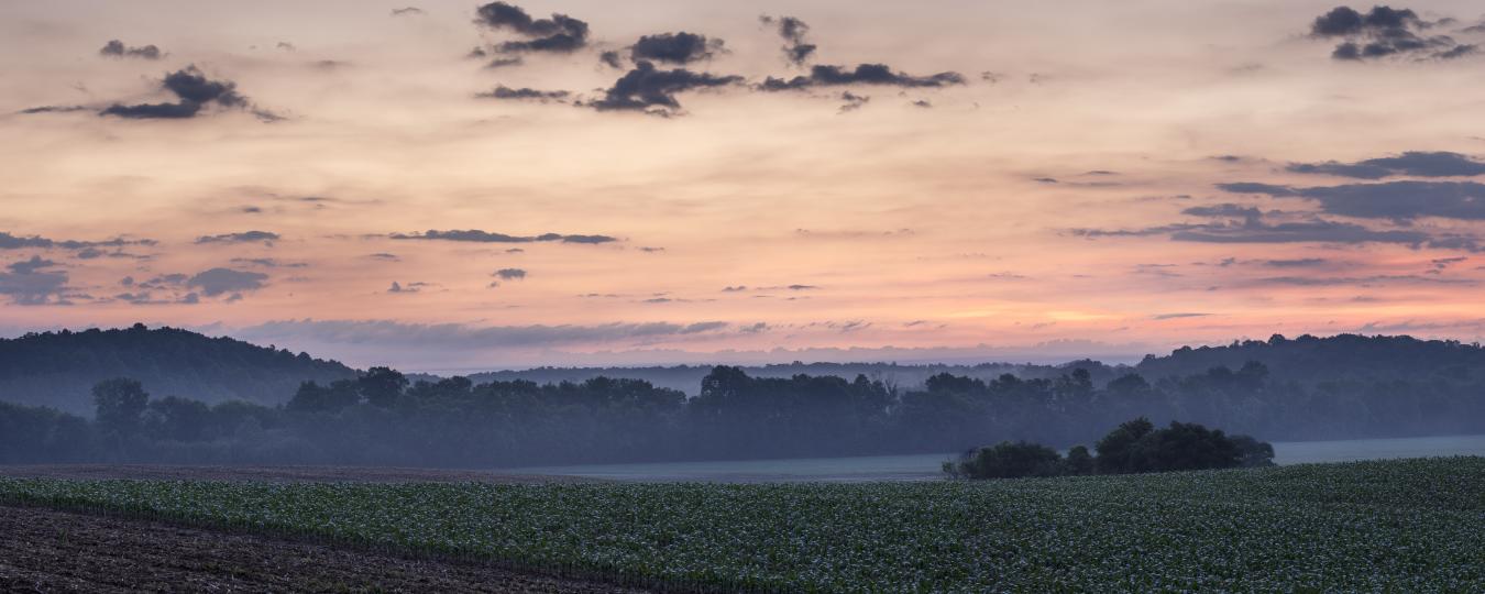 2427 S Blue Ridge Tpke, Rochelle, VA, 22738, United States, 4 Bedrooms Bedrooms, ,3 BathroomsBathrooms,Residential,For Sale,2427 S Blue Ridge Tpke,1687790