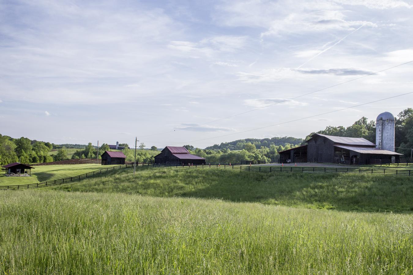 2427 S Blue Ridge Tpke, Rochelle, VA, 22738, United States, 4 Bedrooms Bedrooms, ,3 BathroomsBathrooms,Residential,For Sale,2427 S Blue Ridge Tpke,1687790