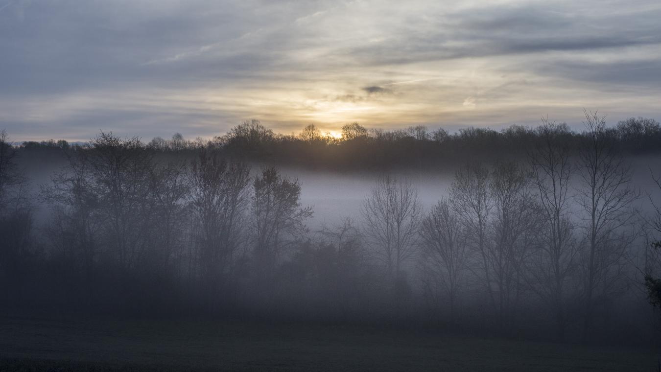 2427 S Blue Ridge Tpke, Rochelle, VA, 22738, United States, 4 Bedrooms Bedrooms, ,3 BathroomsBathrooms,Residential,For Sale,2427 S Blue Ridge Tpke,1687790