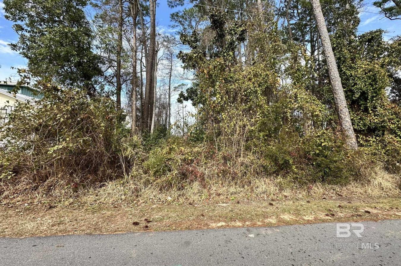Orange Beach, AL, 36561, United States, ,Residential,For Sale,1701096