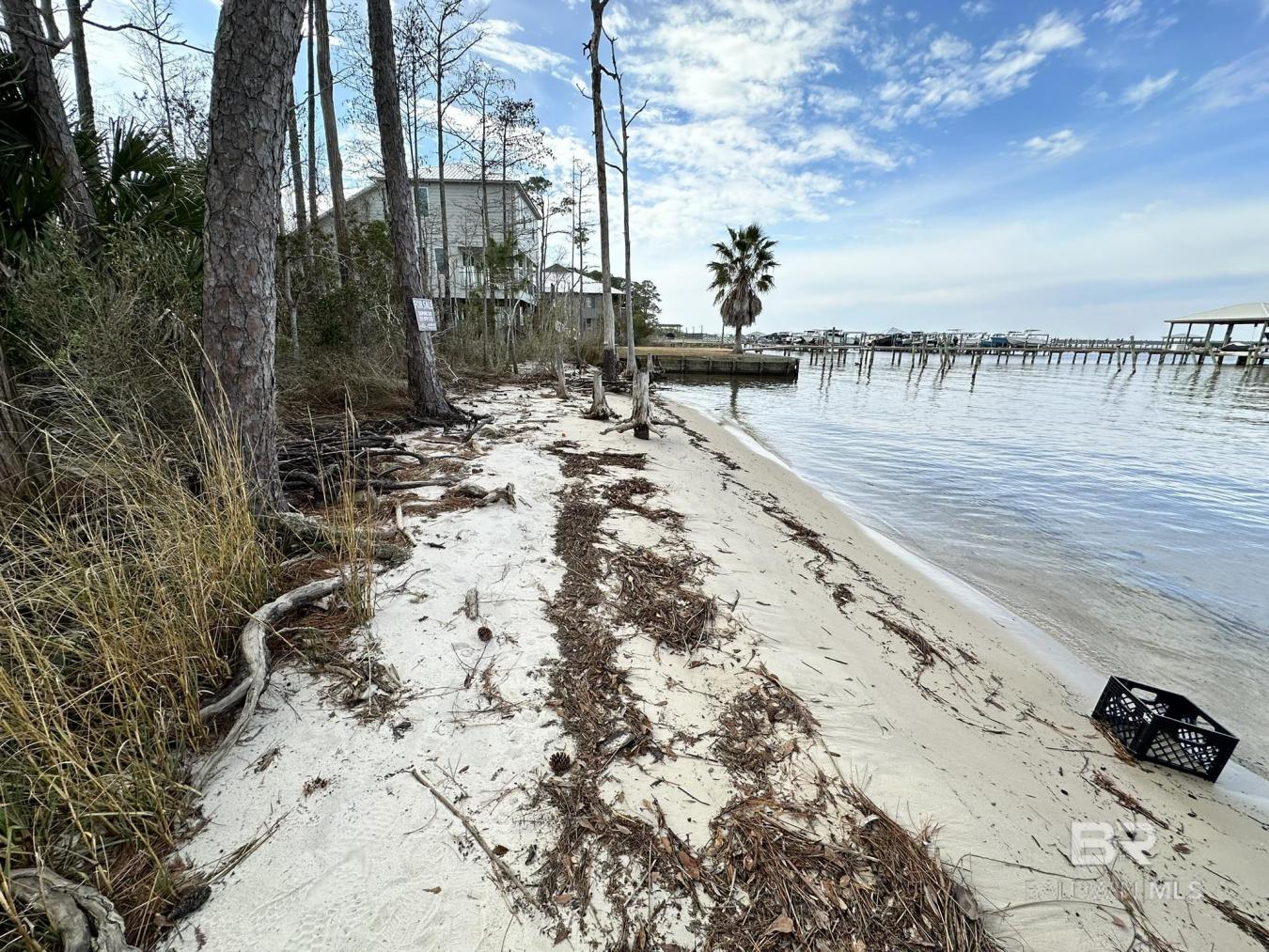 Orange Beach, AL, 36561, United States, ,Residential,For Sale,1701096