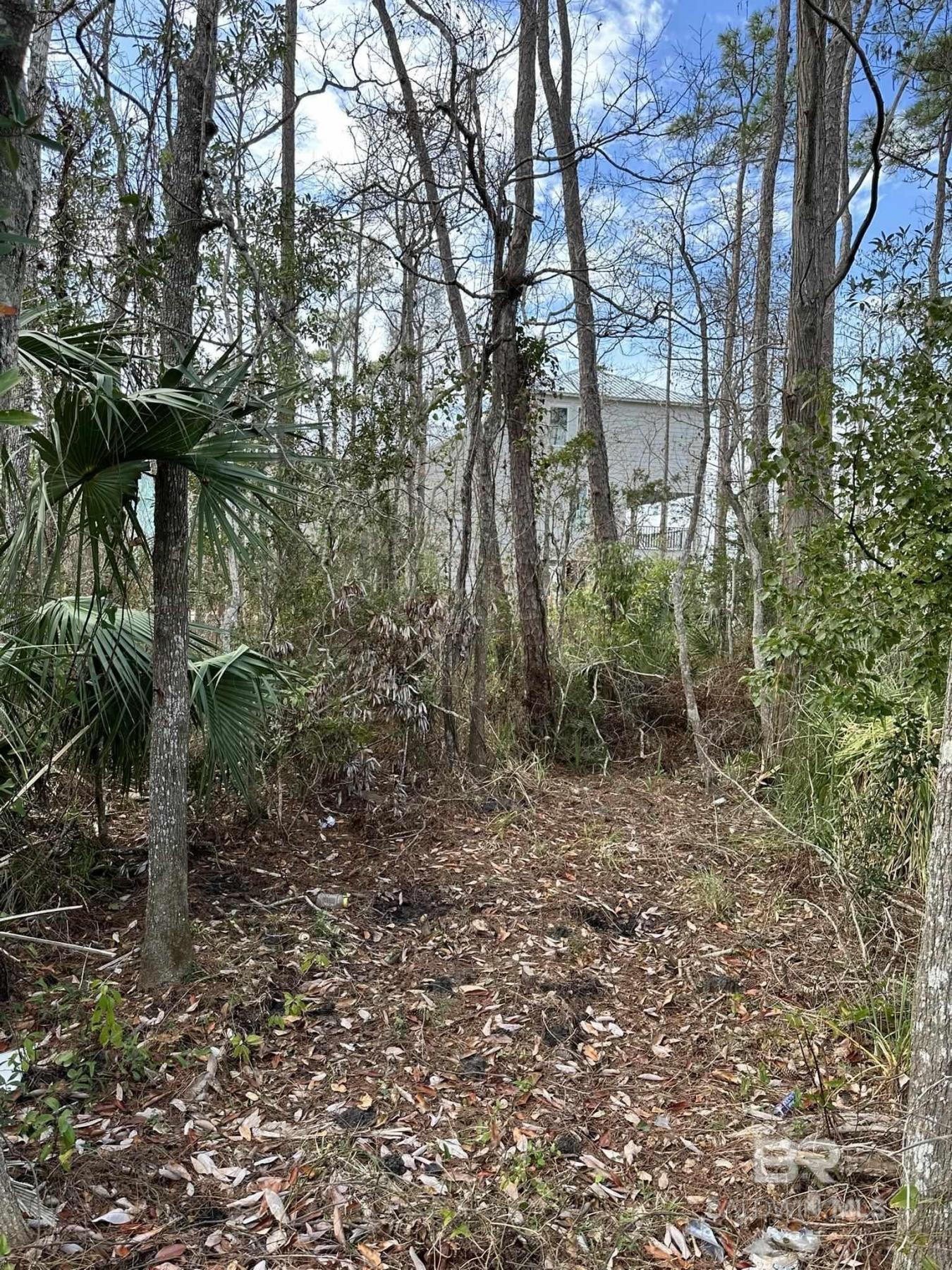 Orange Beach, AL, 36561, United States, ,Residential,For Sale,1701096