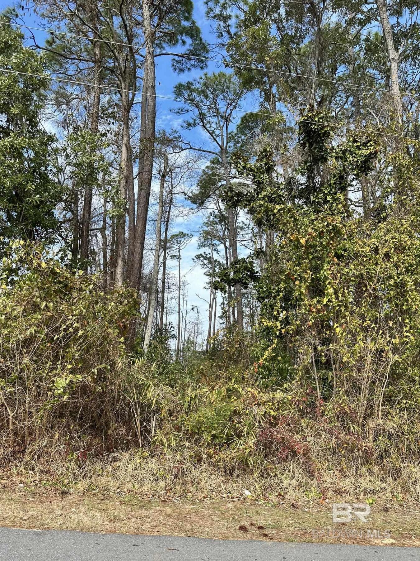 Orange Beach, AL, 36561, United States, ,Residential,For Sale,1701096