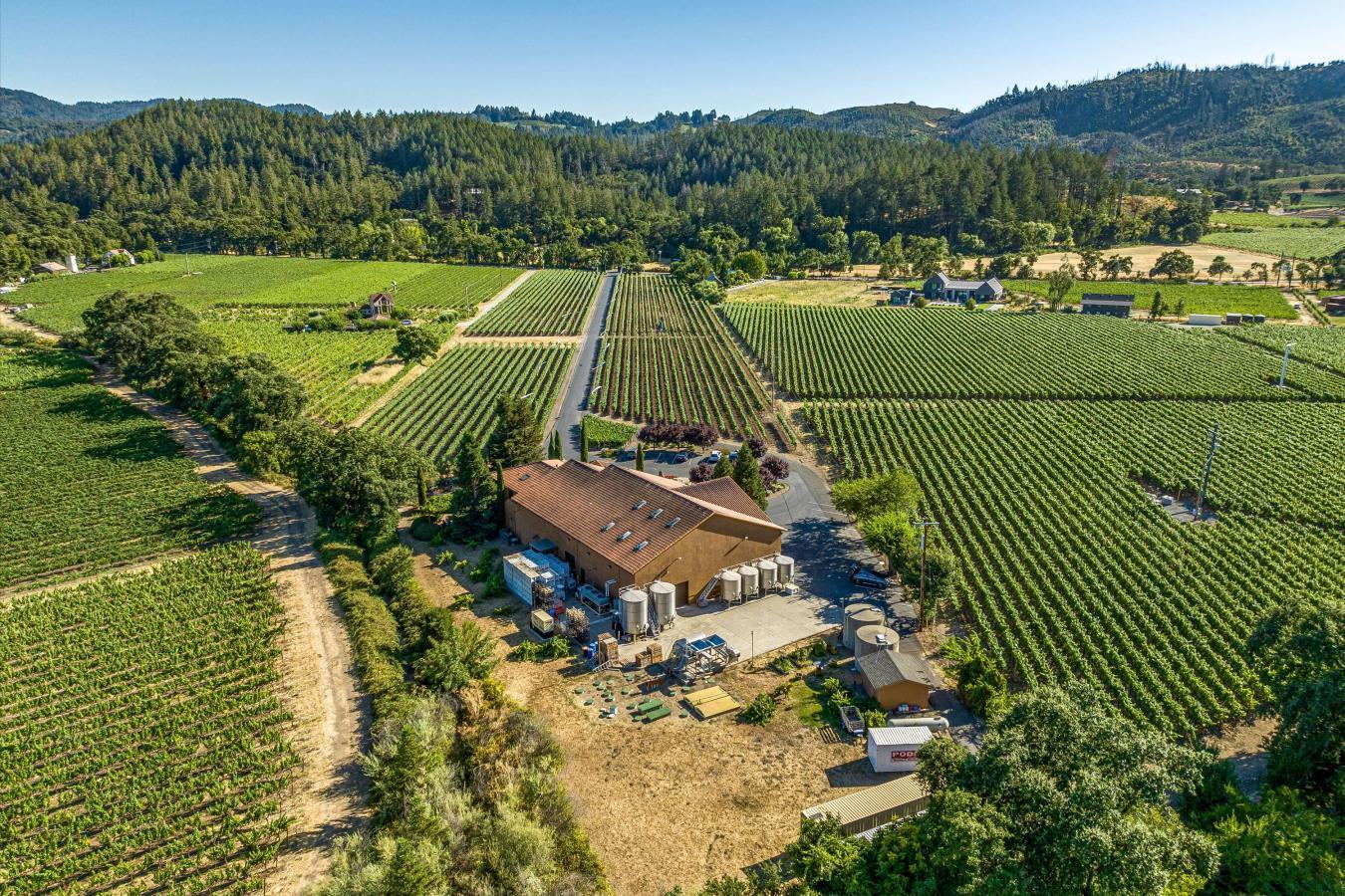 Calistoga, California, 94515, United States, ,Residential,For Sale,1741939