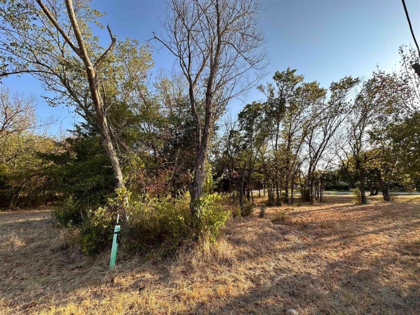 Southlake, Texas, 76092, United States, ,Residential,For Sale,1755060