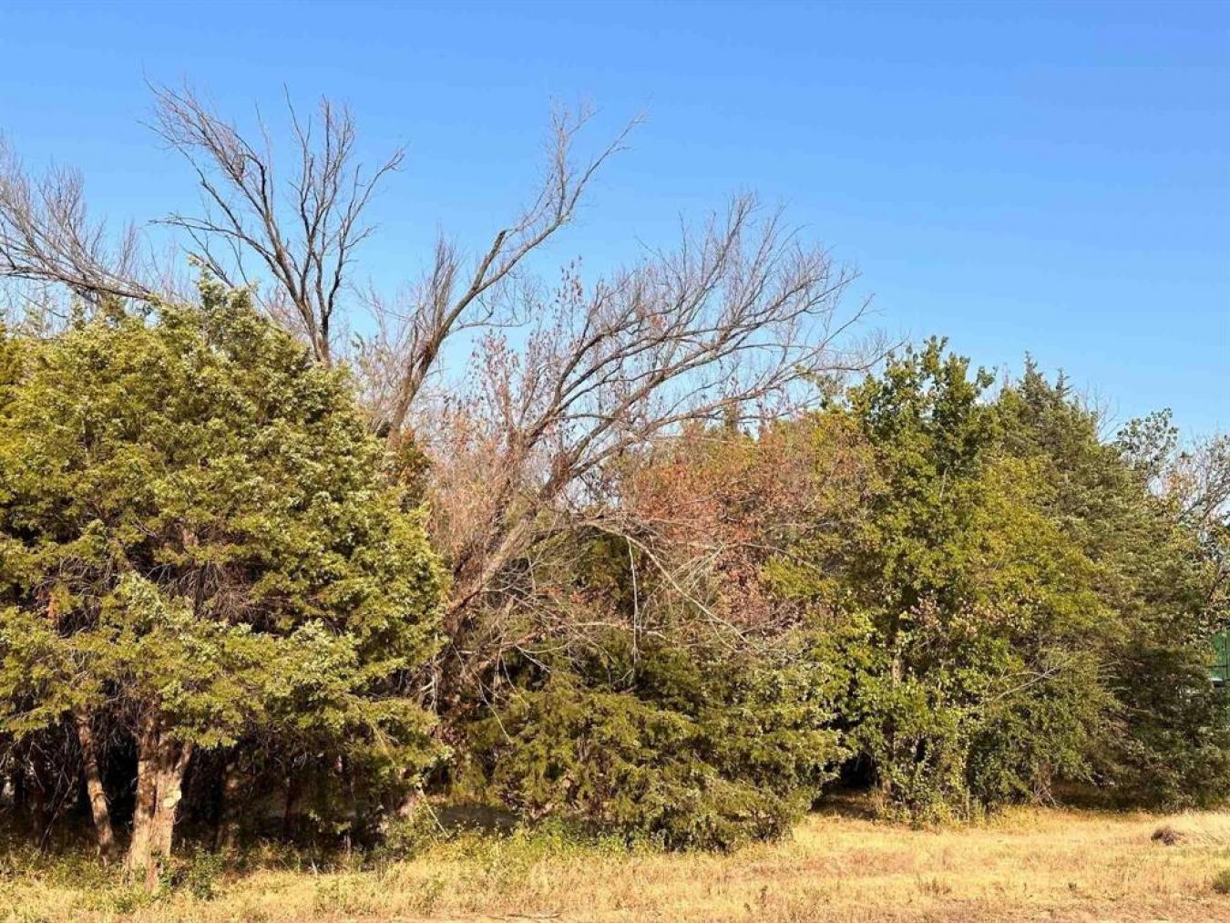 Southlake, Texas, 76092, United States, ,Residential,For Sale,1755060