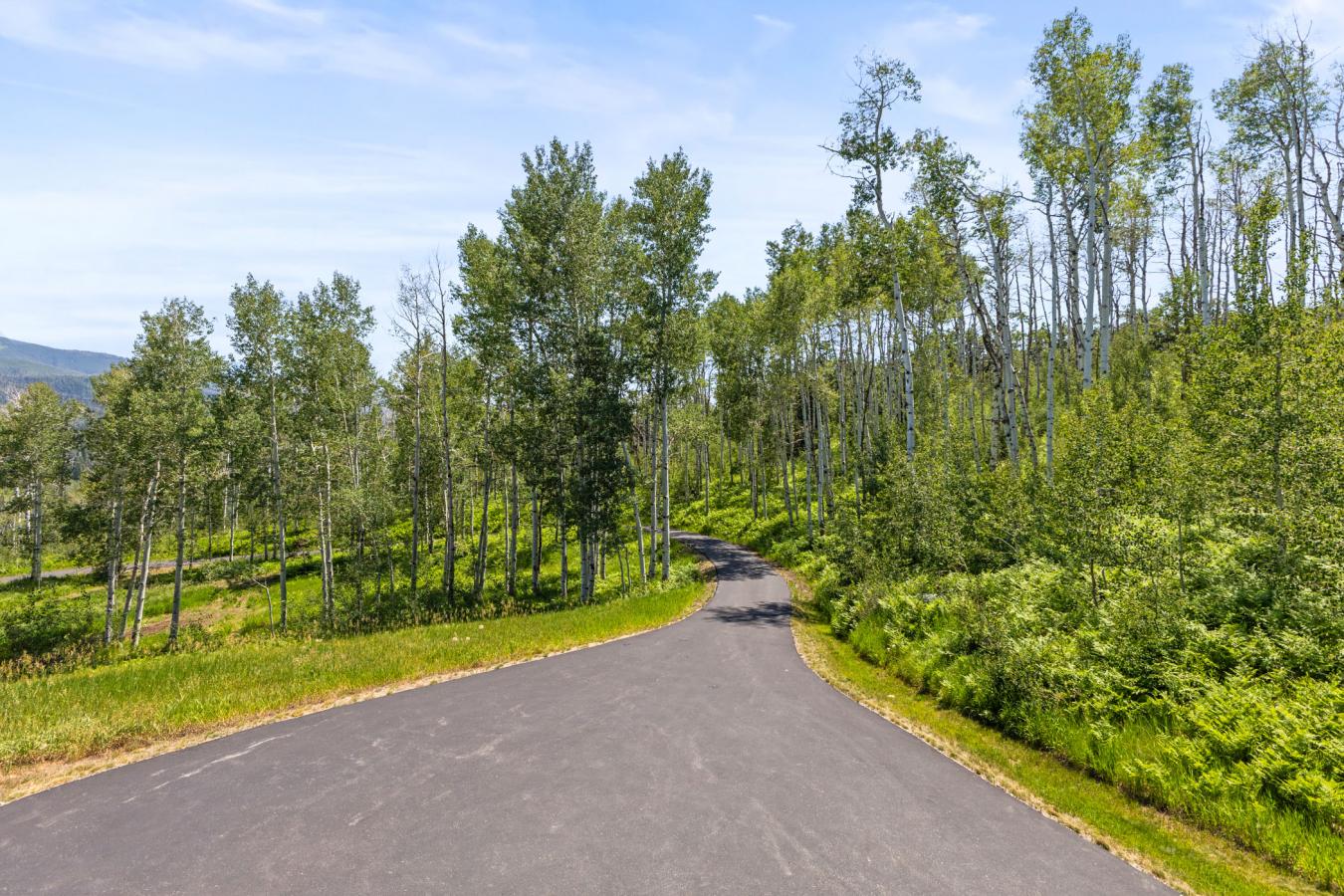 Steamboat Springs, Colorado, 80487, United States, 5 Bedrooms Bedrooms, ,4 BathroomsBathrooms,Residential,For Sale,1755039