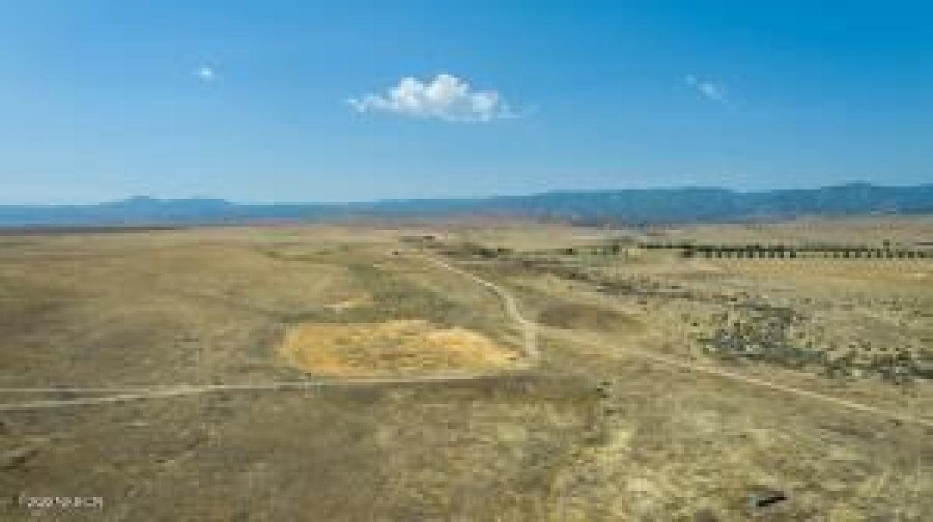 100 Usable Acres with Endless Potential in New Cuyama! Discover the ul – image 2