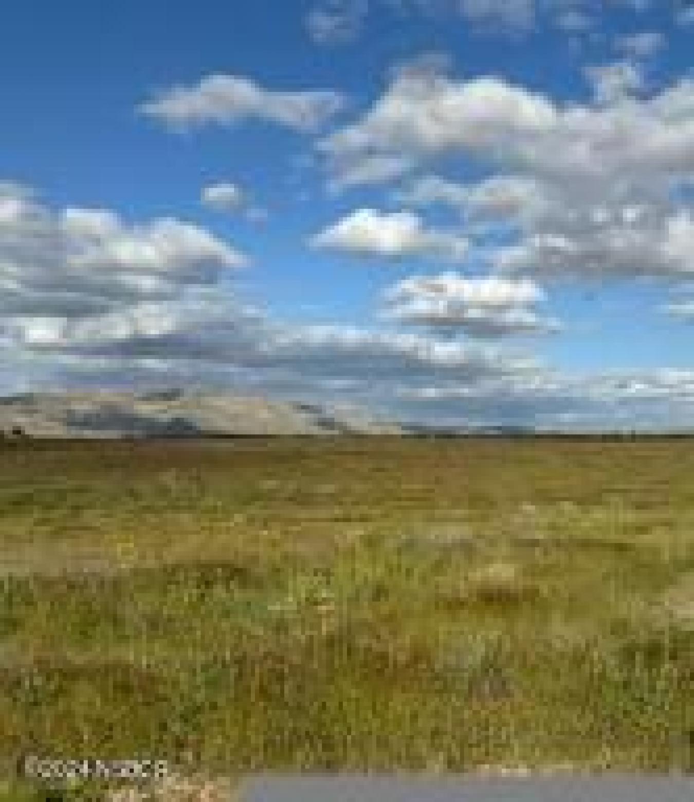 100 Usable Acres with Endless Potential in New Cuyama! Discover the ul – image 3
