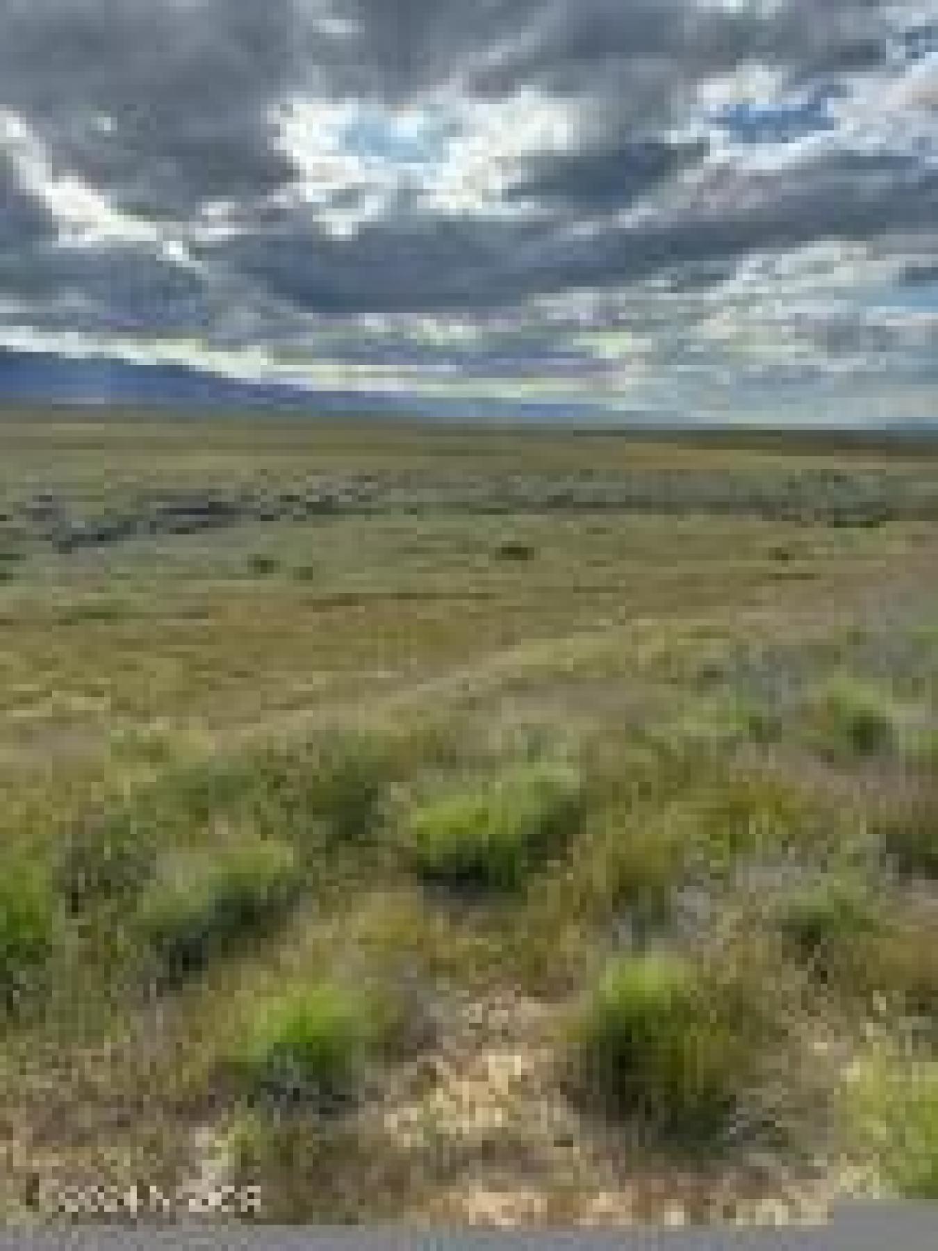 100 Usable Acres with Endless Potential in New Cuyama! Discover the ul – image 4