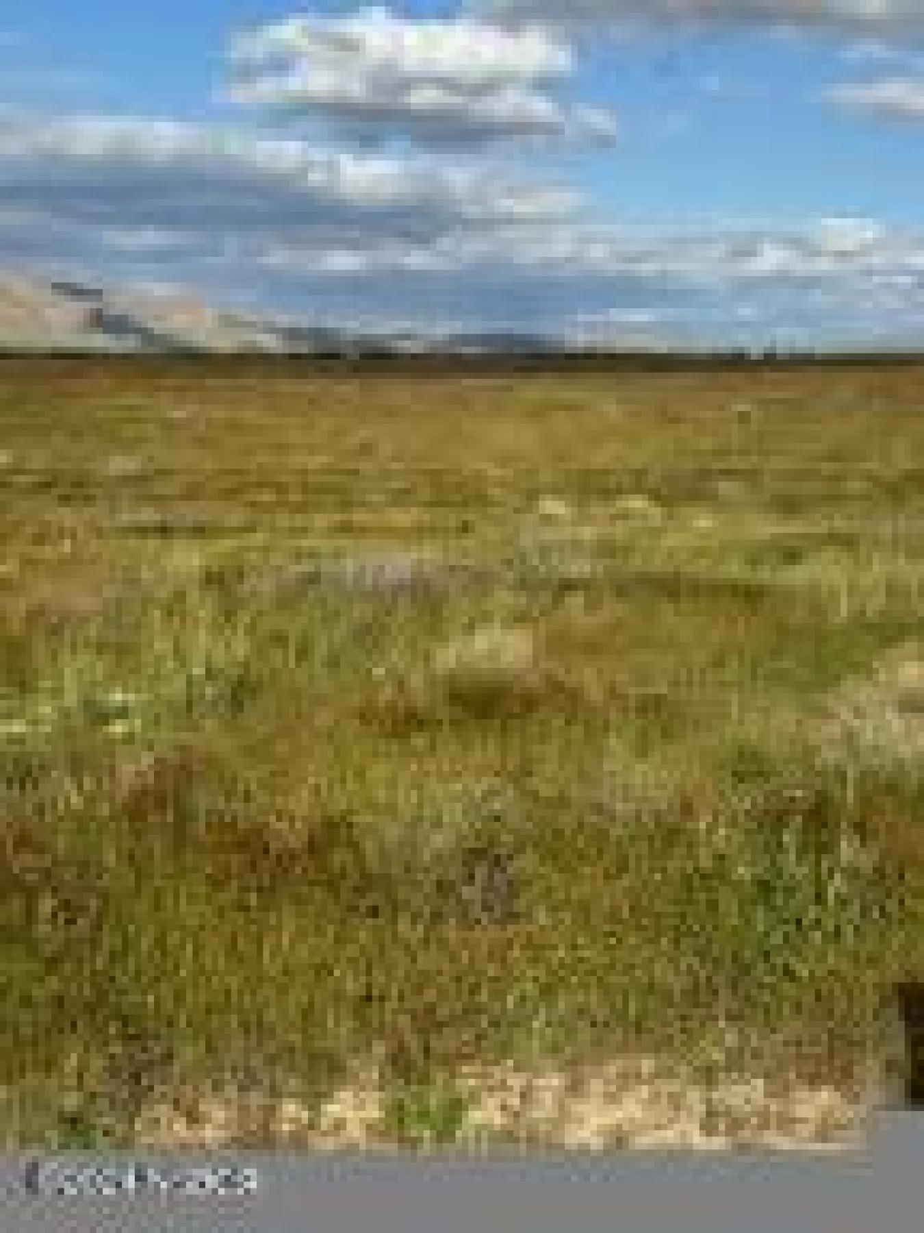100 Usable Acres with Endless Potential in New Cuyama! Discover the ul – image 5