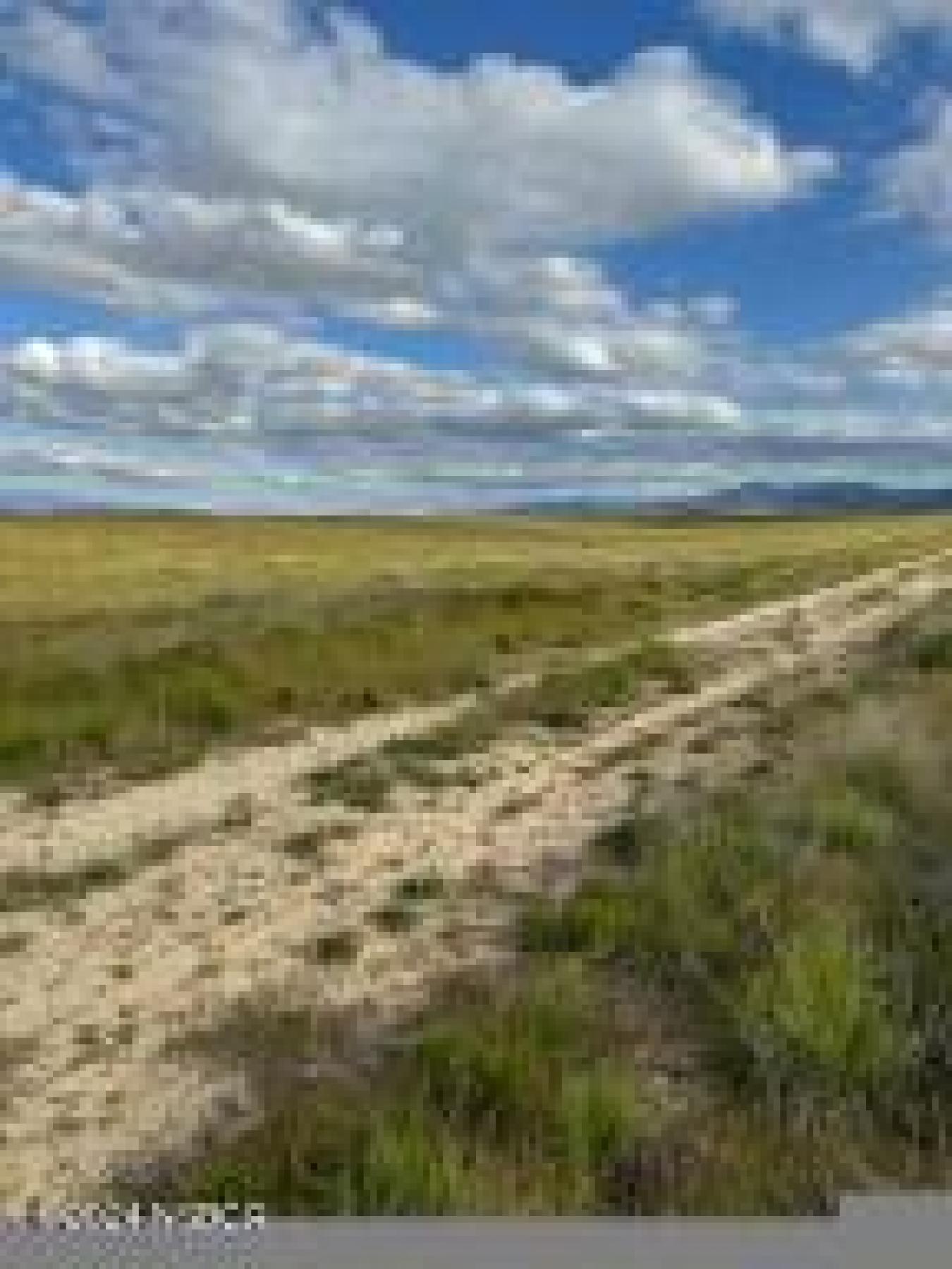 100 Usable Acres with Endless Potential in New Cuyama! Discover the ul – image 7