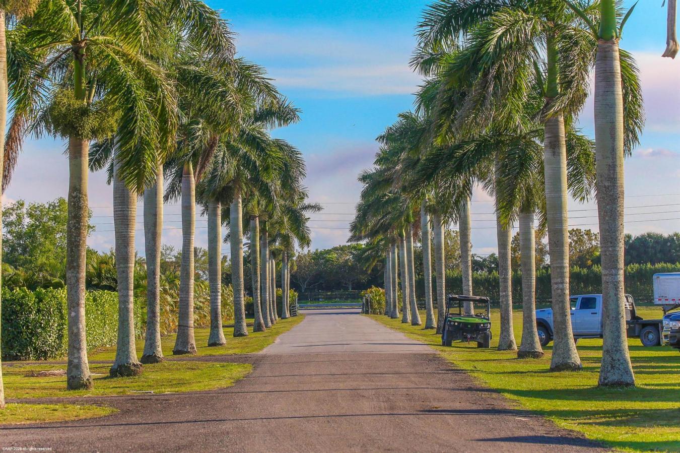 Wellington, Florida, 33449, United States, 8 Bedrooms Bedrooms, ,8 BathroomsBathrooms,Residential,For Sale,1761502