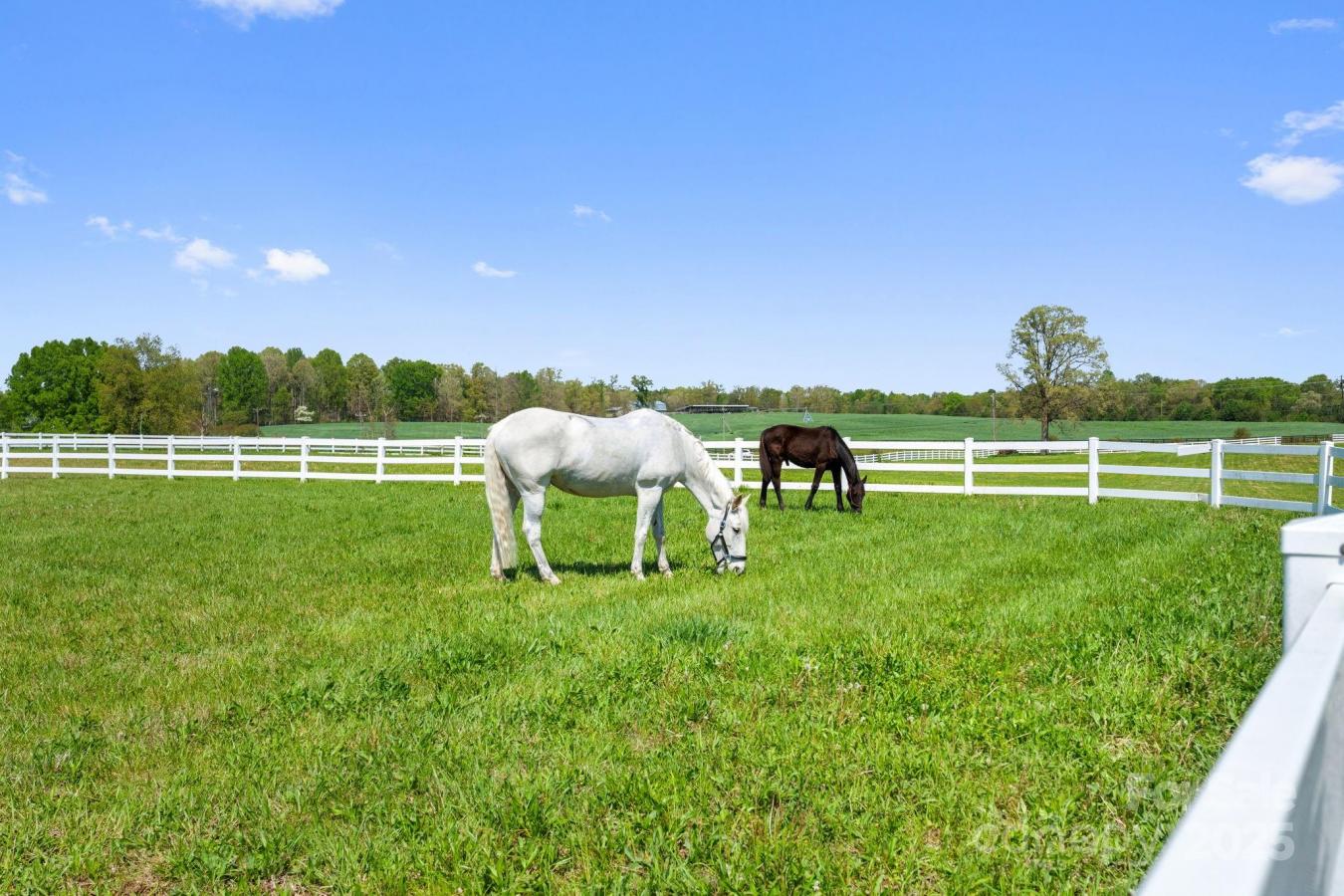 Midland, North Carolina, 28107, United States, 3 Bedrooms Bedrooms, ,3 BathroomsBathrooms,Residential,For Sale,1768890