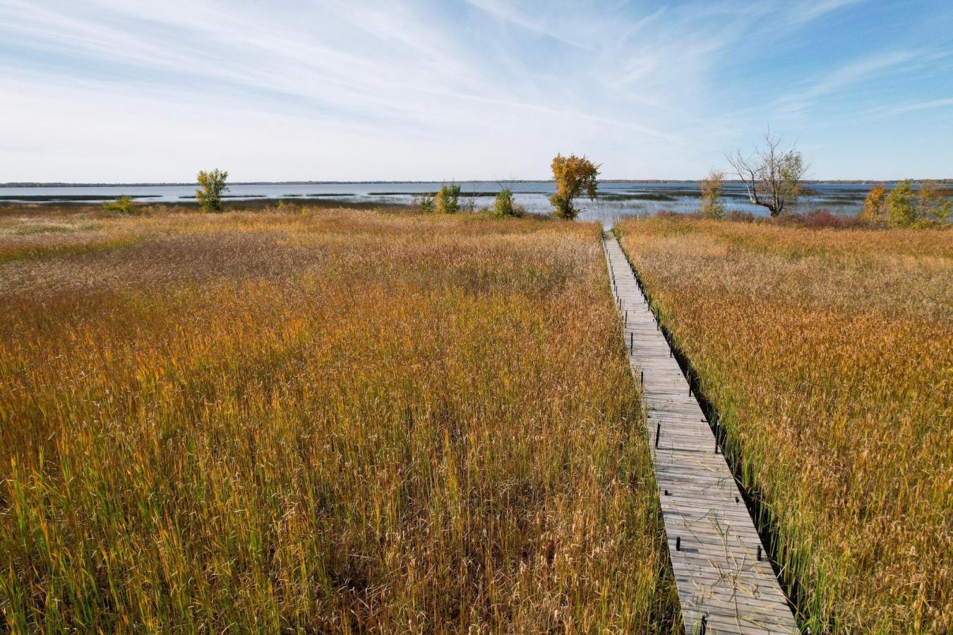 Otto Twp, Minnesota, 56567, United States, 5 Bedrooms Bedrooms, ,2 BathroomsBathrooms,Residential,For Sale,1768886