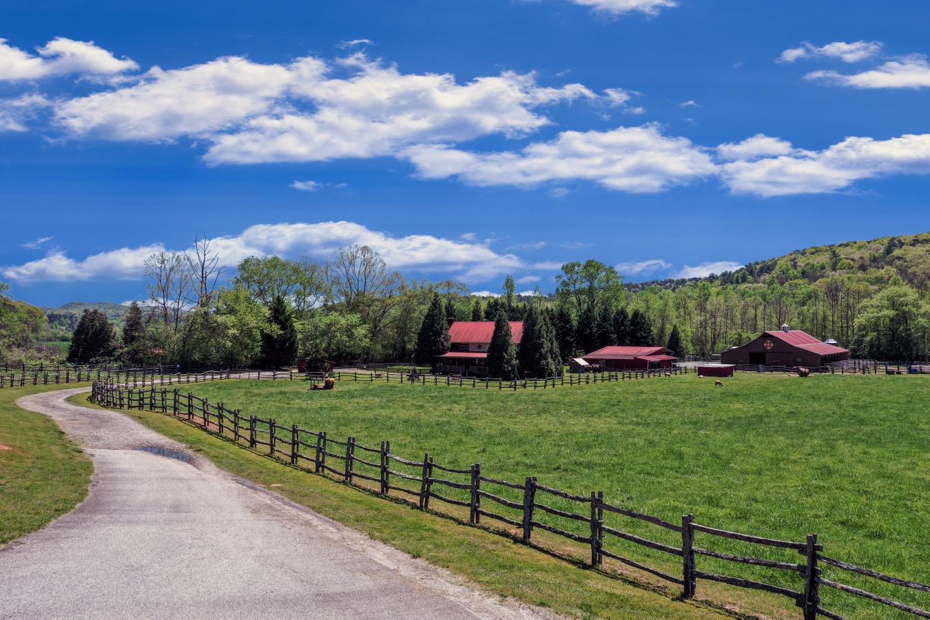 Sautee Nacoochee, Georgia, 30571, United States, 3 Bedrooms Bedrooms, ,3 BathroomsBathrooms,Residential,For Sale,1769187