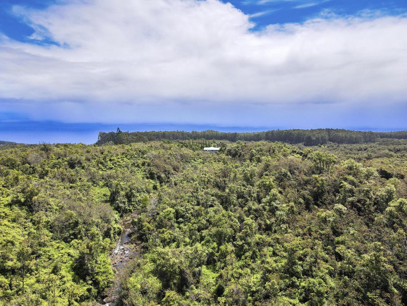 PAPAALOA, Hawaii, 96780, United States, 3 Bedrooms Bedrooms, ,2 BathroomsBathrooms,Residential,For Sale,1771304