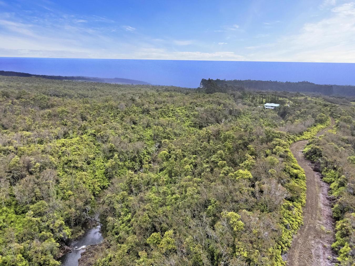 PAPAALOA, Hawaii, 96780, United States, 3 Bedrooms Bedrooms, ,2 BathroomsBathrooms,Residential,For Sale,1771304