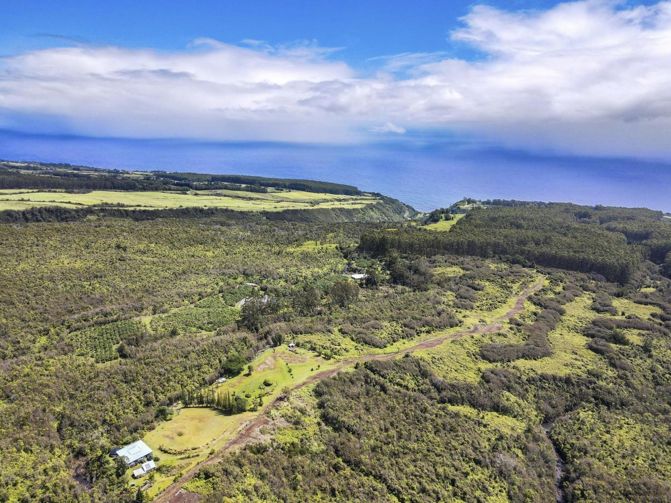 PAPAALOA, Hawaii, 96780, United States, 3 Bedrooms Bedrooms, ,2 BathroomsBathrooms,Residential,For Sale,1771304