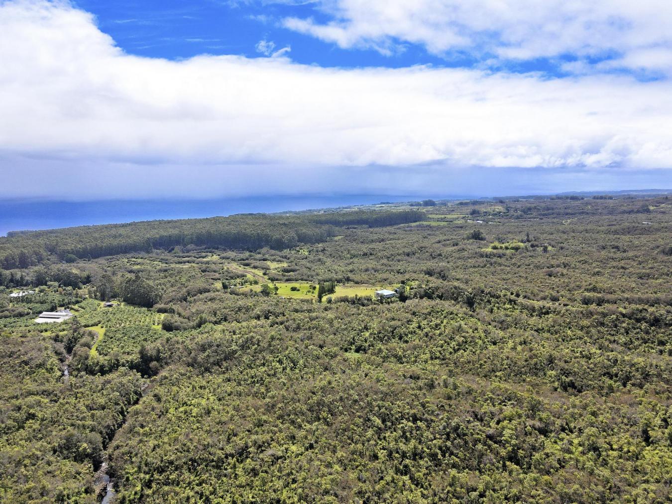 PAPAALOA, Hawaii, 96780, United States, 3 Bedrooms Bedrooms, ,2 BathroomsBathrooms,Residential,For Sale,1771304