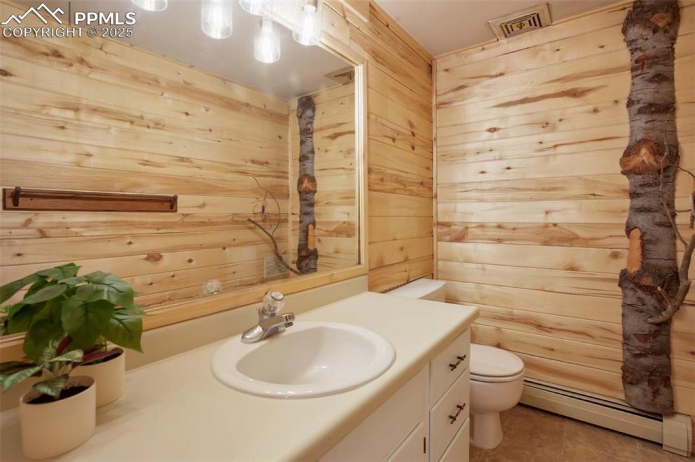 Woodland Park, Colorado, 80863, United States, 4 Bedrooms Bedrooms, ,3 BathroomsBathrooms,Residential,For Sale,1778621