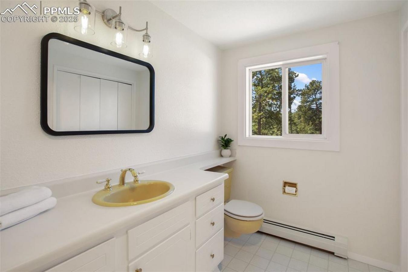 Woodland Park, Colorado, 80863, United States, 4 Bedrooms Bedrooms, ,3 BathroomsBathrooms,Residential,For Sale,1778621