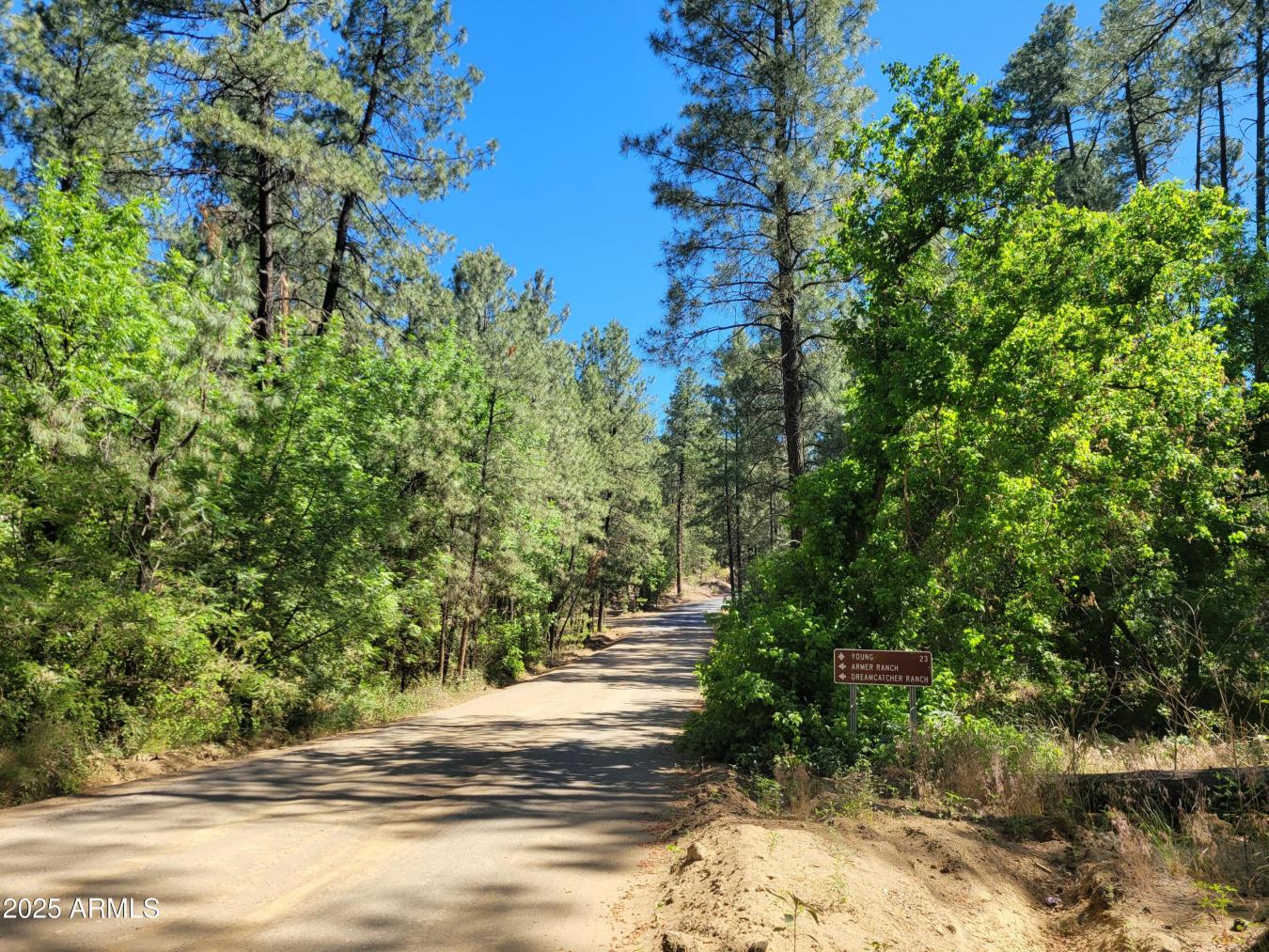 Discover your dream retreat w/ 3 pristine parcels spanning over 3 acre – image 1