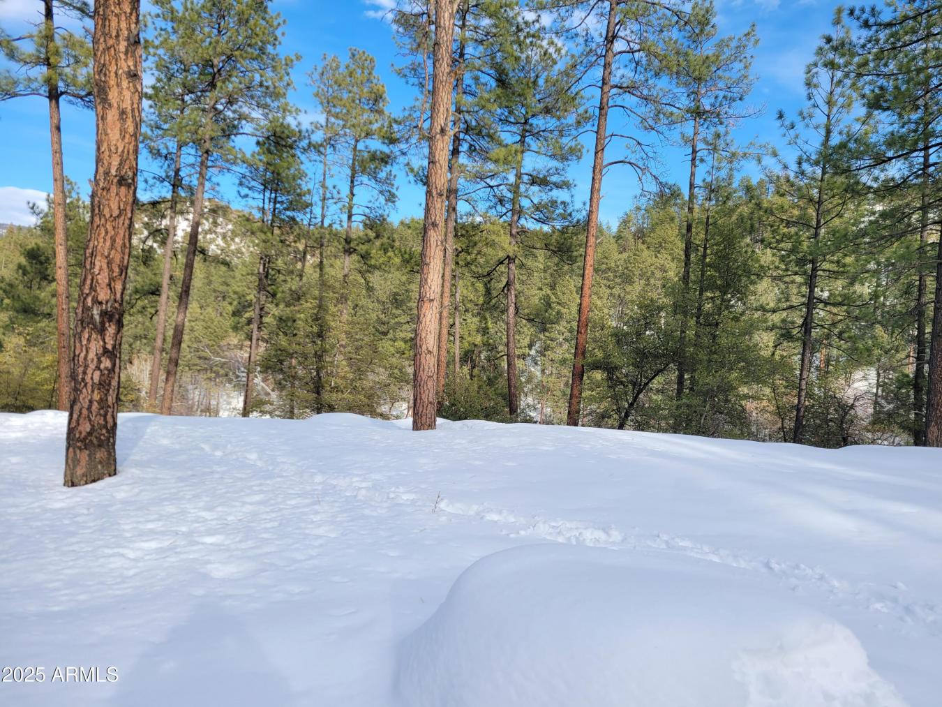 Discover your dream retreat w/ 3 pristine parcels spanning over 3 acre – image 10