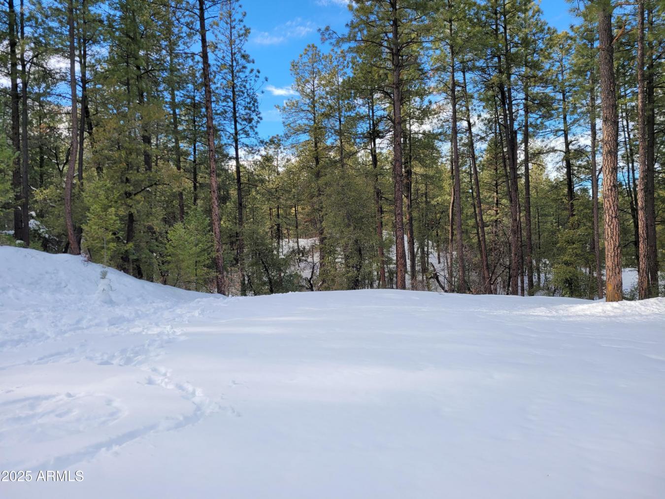 Discover your dream retreat w/ 3 pristine parcels spanning over 3 acre – image 12