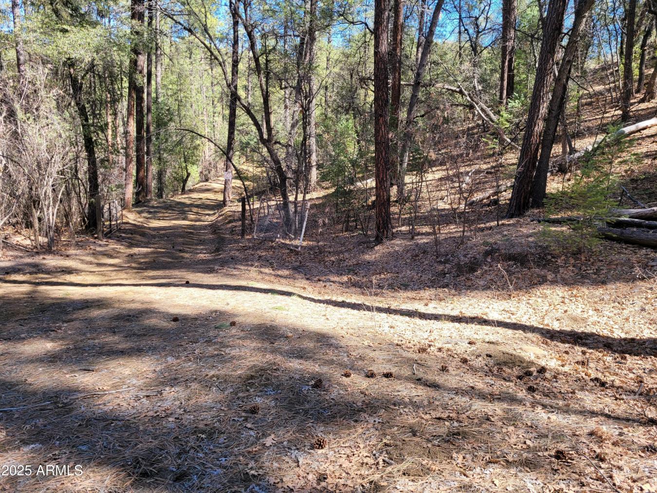 Discover your dream retreat w/ 3 pristine parcels spanning over 3 acre – image 17