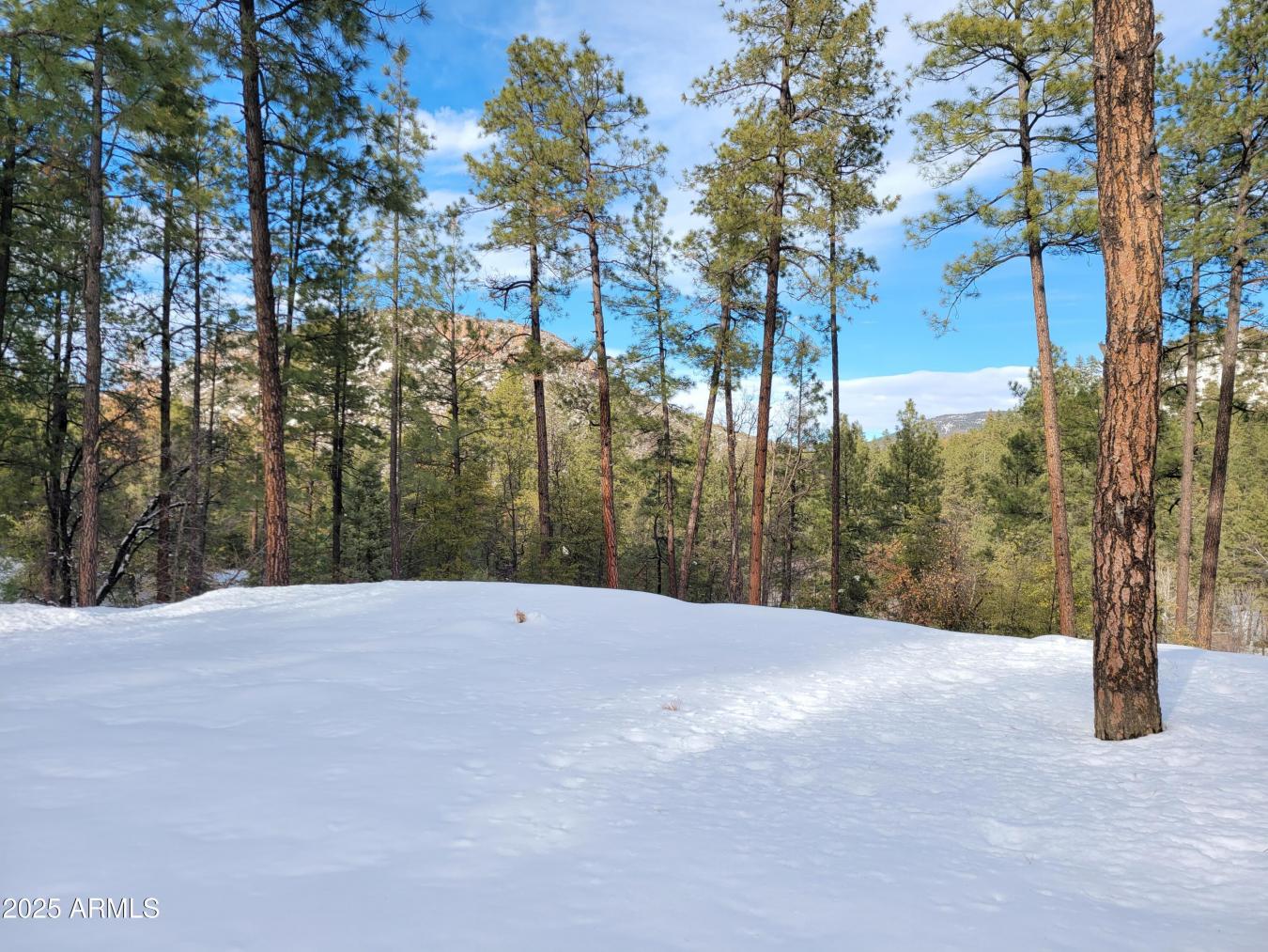 Discover your dream retreat w/ 3 pristine parcels spanning over 3 acre – image 8