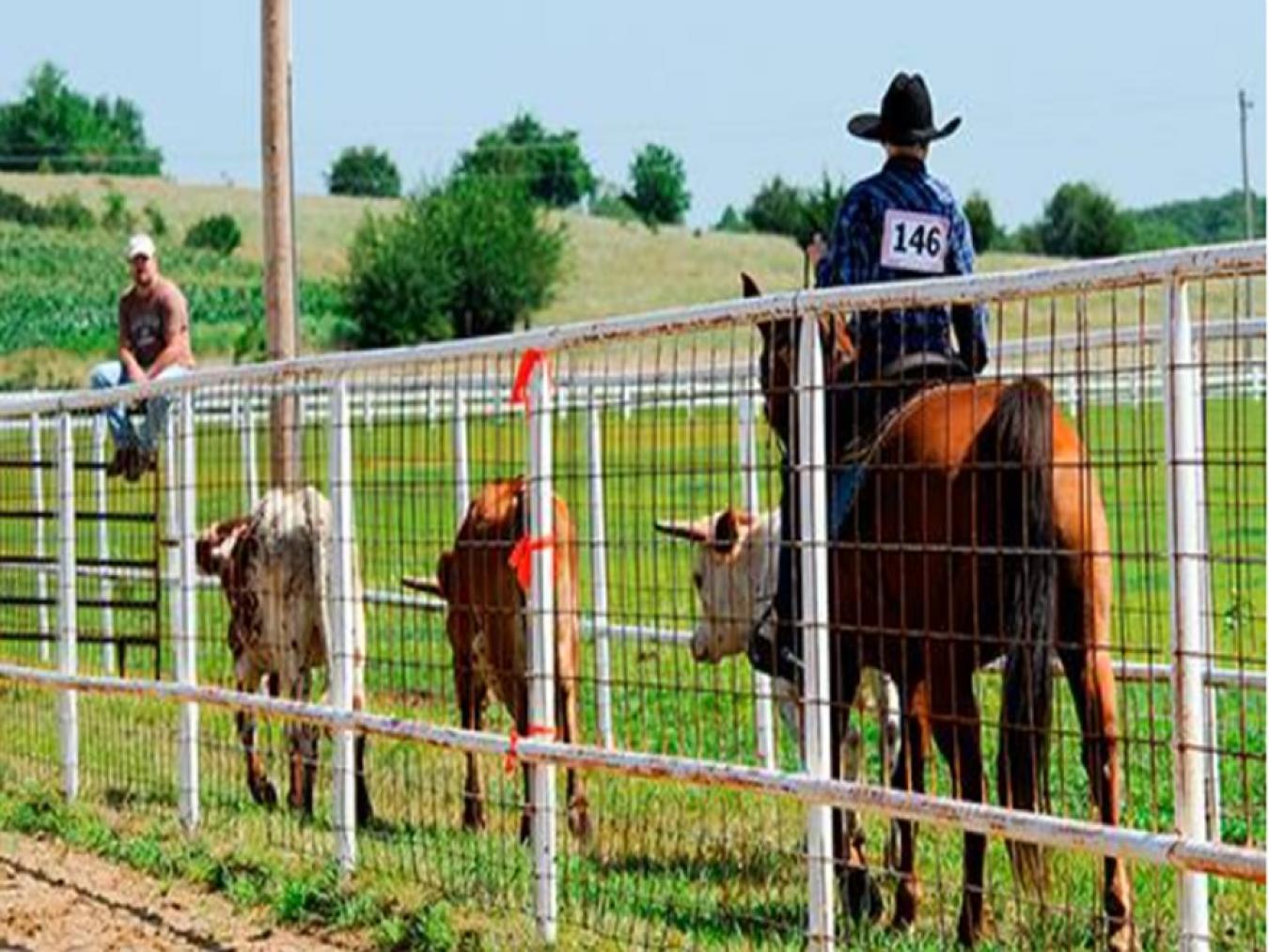Topeka, Kansas, 66546, United States, 4 Bedrooms Bedrooms, ,5 BathroomsBathrooms,Residential,For Sale,1781673