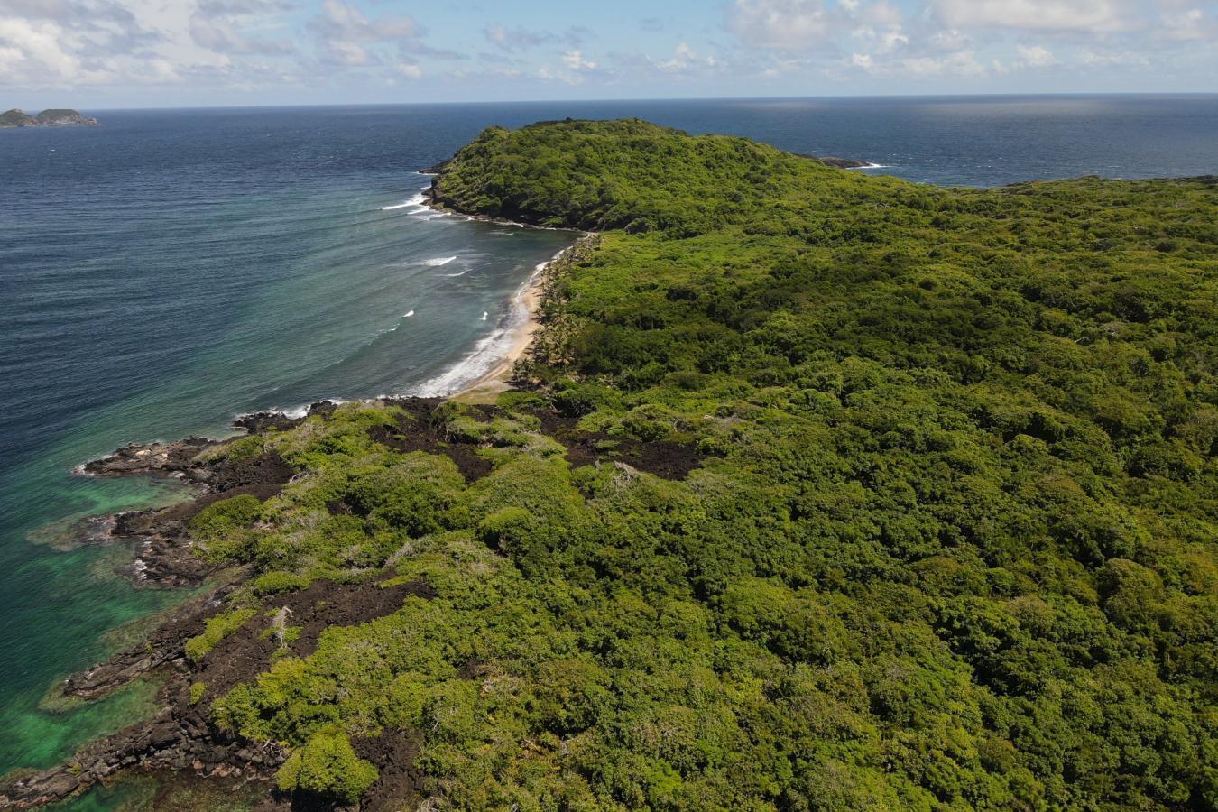 St. Patrick, Georgia, Grenada, ,Residential,For Sale,1782428