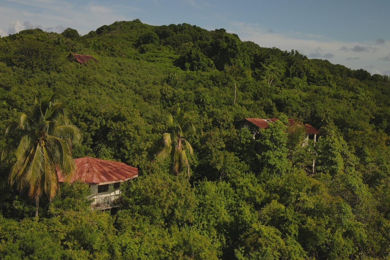 St. Patrick, Georgia, Grenada, ,Residential,For Sale,1782428