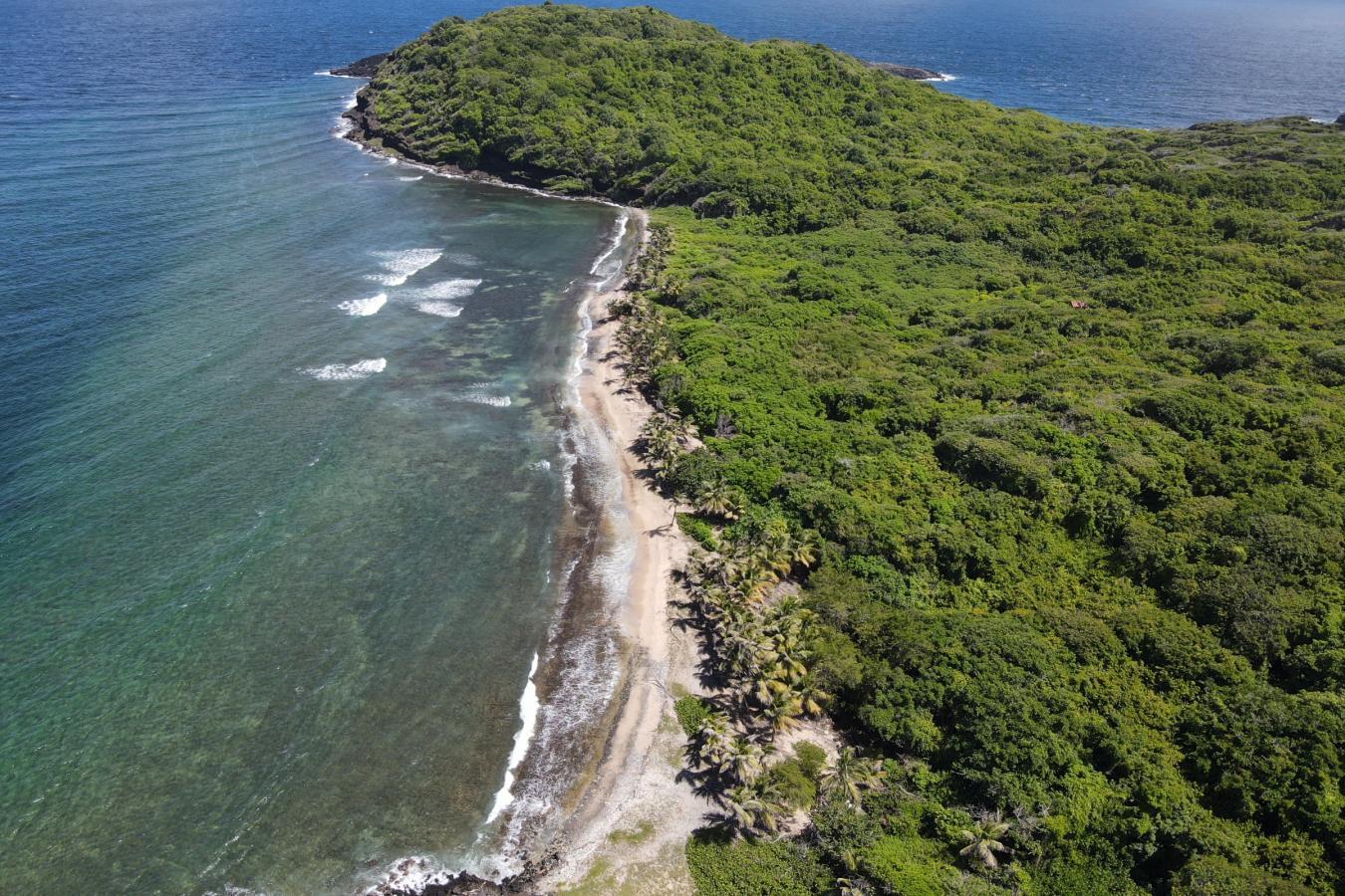 St. Patrick, Georgia, Grenada, ,Residential,For Sale,1782428