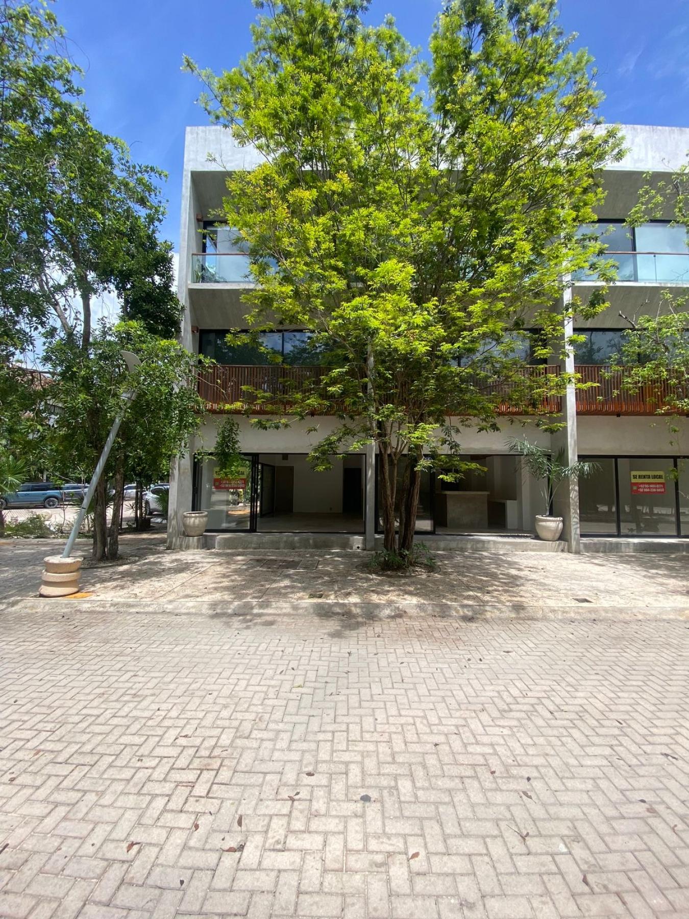 Tulum, Q.R., 77760, Mexico, 6 Bedrooms Bedrooms, ,6 BathroomsBathrooms,Residential,For Sale,1788212