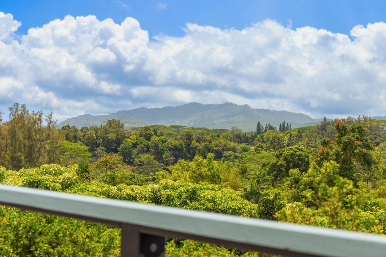 KILAUEA, Hawaii, 96754, United States, 3 Bedrooms Bedrooms, ,3 BathroomsBathrooms,Residential,For Sale,1790111