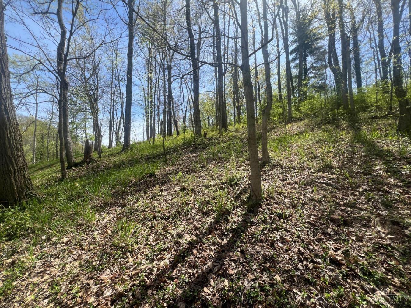 Loveland, Ohio, 45140, United States, 2 Bedrooms Bedrooms, ,2 BathroomsBathrooms,Residential,For Sale,1990276